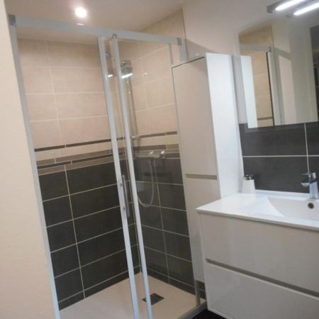 Location Appartement 2 pièces Meublé 42m² FONTAINES EN SOLOGNE 41250 - Photo 4