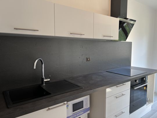 Location Appartement 2 pièces 47m² VILLERS LES NANCY 54600 - Photo 1