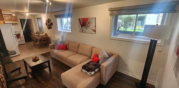 ROSEMONT – MAINTENANT – TOUT CECI MEUBLÉ- Neuf 3 1/2 – Bachelor – Près stations de Metro Pie IX et Joliette – Bail annuel de préférence - NÉGOCIABLE - Photo 2