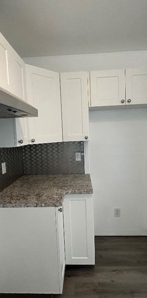 Grand 4 1/2 à louer Vieux Terrebonne - Photo 1