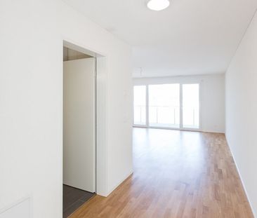 1½-Zimmerwohnung im Parterre mit Waschturm / 37,4 m2 - Photo 1