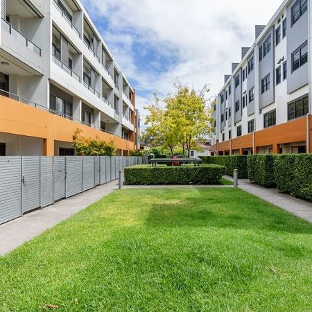 CONVENIENT STUDIO LOCATED NEXT TO UNSW | Unfurnished - Photo 3