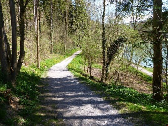 Bremgarten - Ländliquartier - Photo 1