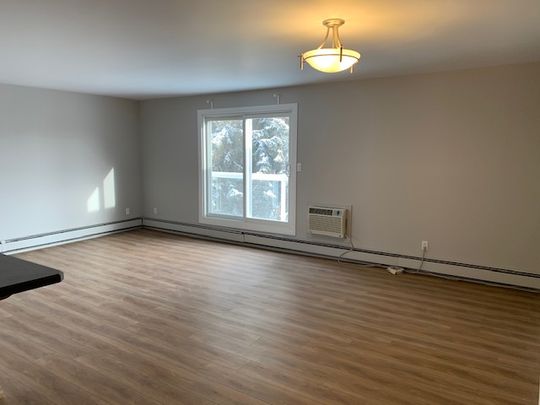 2 Br Renovated Condo In King Edward Park With Parking & Util. Included. - Photo 1