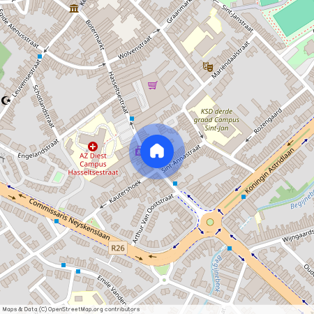 Hasseltsestraat 60 / 2, 3290 Diest