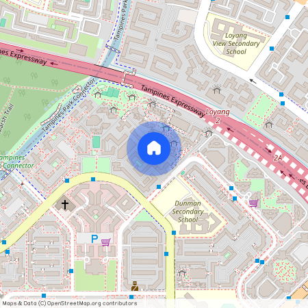491F Tampines Street 45 (525491), Singapore