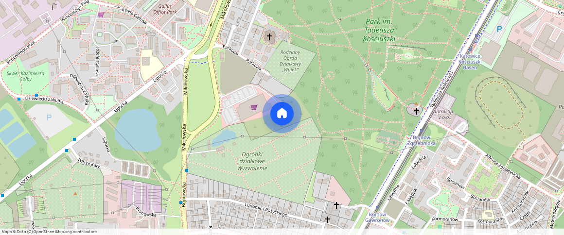 Brynowska, ŚLĄSKIE, Brynów, 40-585, Katowice