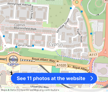 Ferndale Street, Beckton, E6 - Photo 1