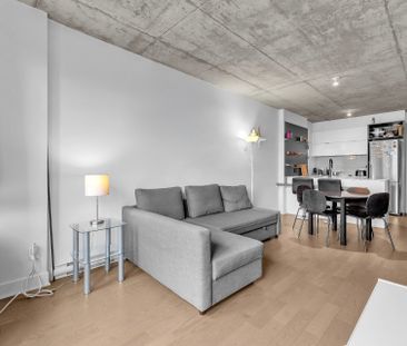 195 Rue Peel, Montréal (Le Sud-Ouest), QC H3C - Photo 3