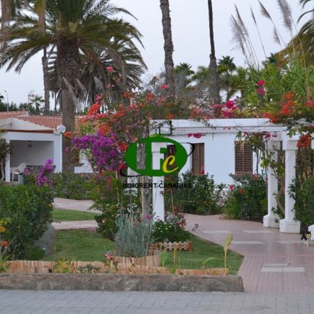 2 bedroom bungalow in popular complex for rent in Maspalomas - Photo 2