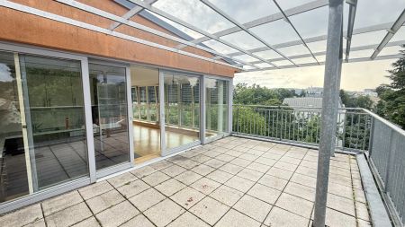 Schönbrunn in Sicht: Neu sanierte und klimatisierte 2-Zimmer mit 2 Terrassen - Foto 2