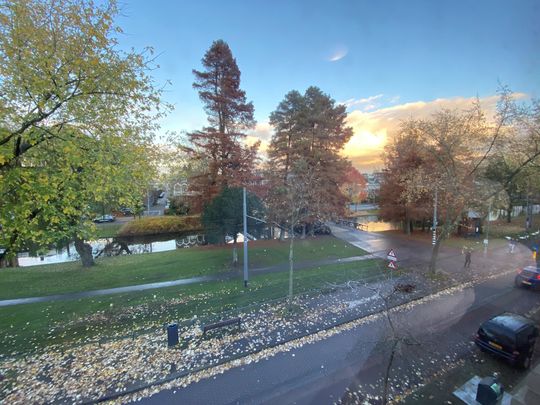 Noordsingel, 3032 BH, Rotterdam - Foto 1