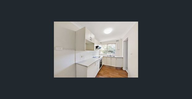 Immaculate One Bedroom Unit with Split Air! - Photo 1