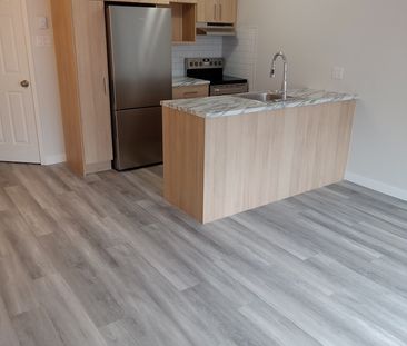 Charmant 3 1/2 (1 Chambre) Rénové - Photo 2