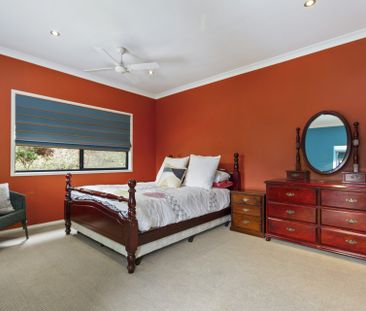 LILLI PILLI NSW - Photo 6
