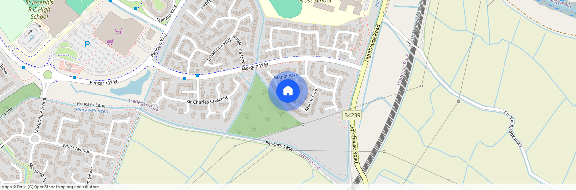 MANOR PARK, COEDKERNEW, NP10 8SD