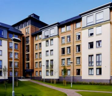 Premium Ensuite - Photo 6