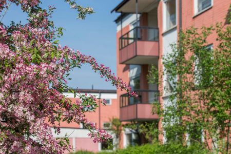 Levertinsgatan 25, 75430, Uppsala - Photo 2