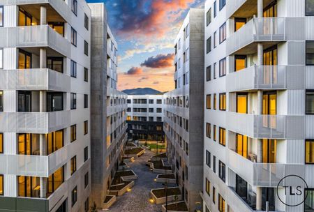 G11/38 Oakden Street,, Greenway ACT 2900 - Apartment For Rent | Domain - Photo 5