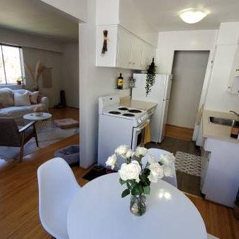 VIDEO TOUR! Pet Friendly Spacious Bright 1 bedroom available Sept 15! - Photo 3