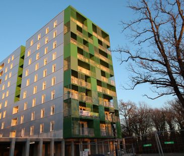 Location Appartement 3 pièces 64m² ST HERBLAIN 44800 - Photo 4