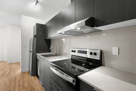 Condo for rent, Montréal (Le Plateau-Mont-Royal) - Photo 5