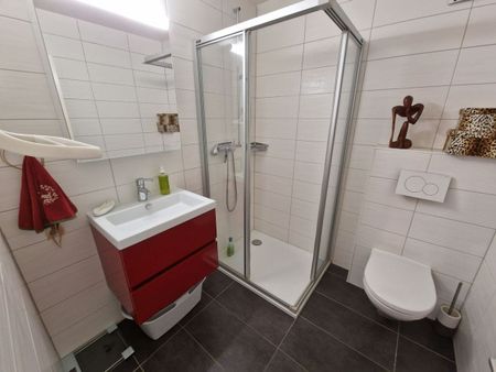 GROUND FLOOR WITH LARGE GARDEN - Photo 3