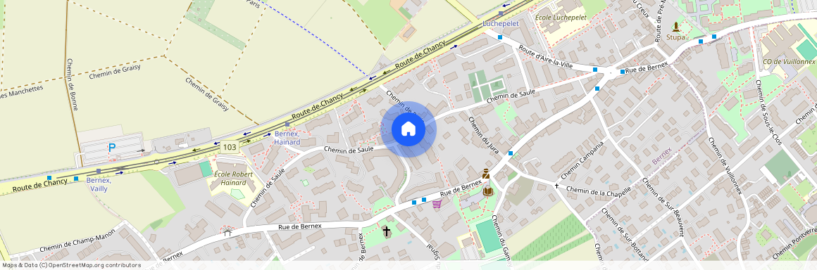 1233, Bernex, Chemin De Saule