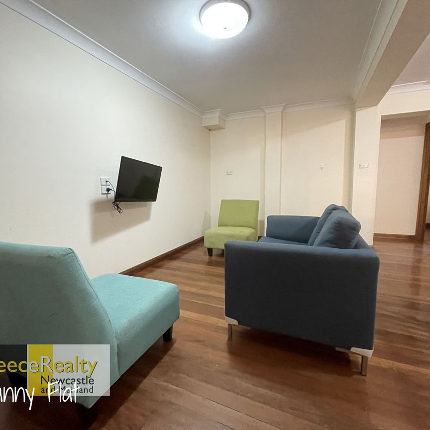 19A Viminaria Place, Warabrook - Photo 1