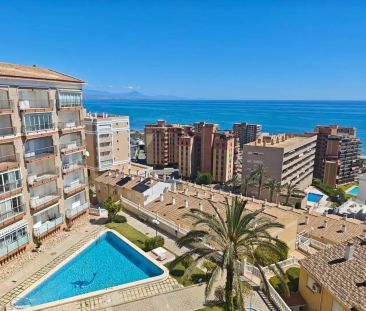 Elche / Elx - Photo 5