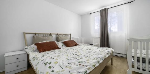 Appartement 4 ½ à louer Lévis juin 2026 - Photo 2