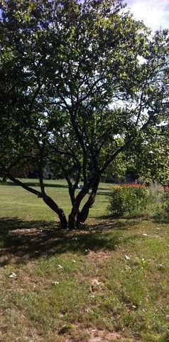 Location Appartement 3 pièces 110m² VILLENEUVE LES BOULOC 31620 - Photo 2