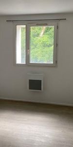Location Appartement 1 pièce 19m² VANDOEUVRE LES NANCY 54500 - Photo 3