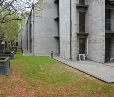 Modern City Living in St Marys Complex - Photo 4
