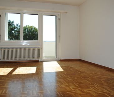 8181 Höri - Photo 3