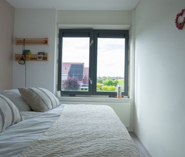 Groenling 31 - Foto 1