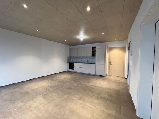 For rent: superb, modern and bright 2.5-room apartment-1st floor - Foto 1