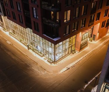 464 Saint-Henri Street, Montréal, QC - Photo 5