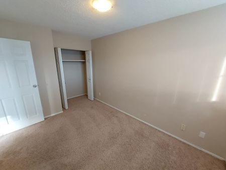 Dog Friendly 1 Bedroom Apartments! - Photo 2