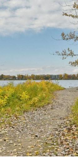 Vaste 3 1/2 à louer - Laval Ouest - Photo 1