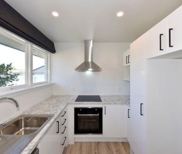 Spacious Family Living with Bonus Sleepout in Woolston - Photo 3