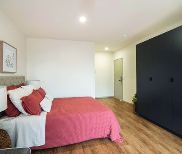 Beacon Hill, 3/187 Warringah Road - Photo 2