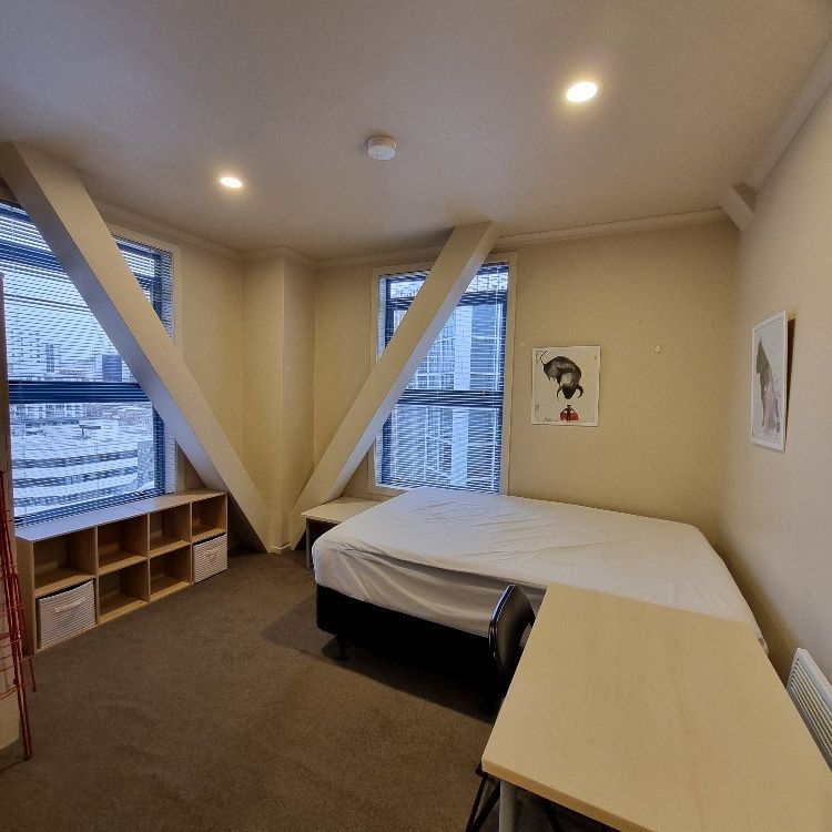 Auckland City - Studio Apartment - Furnished - Photo 1