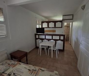 Location Appartement 1 pièce 25m² - Photo 6