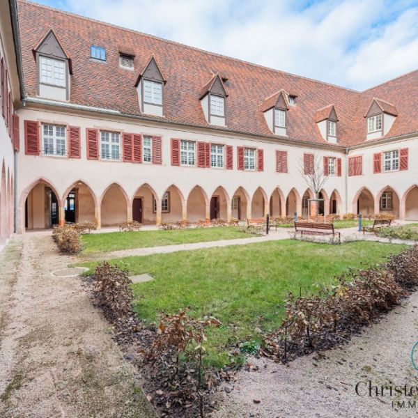 Appartement - SELESTAT - 52m² - 1 chambre - Photo 1