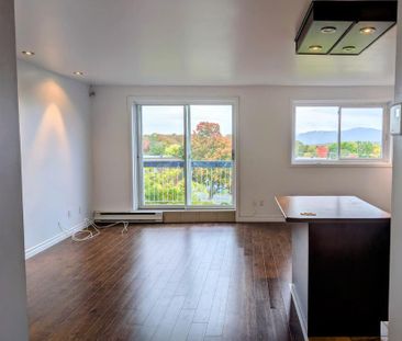 4-1/2 clientèle 50 et plus tranquille belle vue, fraichement peinturer - Photo 3