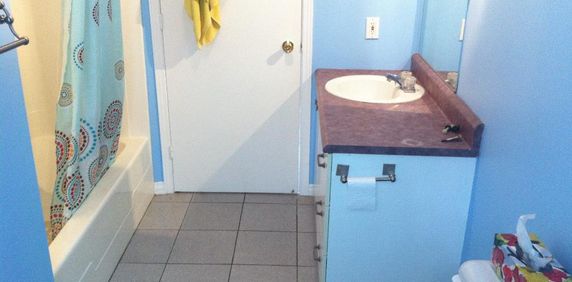 BEAU 4 1/2 LIBRE AU 1ER JUILLET DELSON RIVE SUD - Photo 2