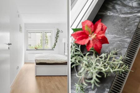 Lilla Varvsgatan, Malmö - Foto 5