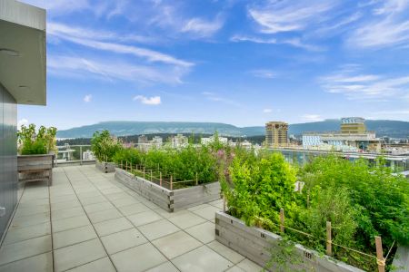 English Bay Residences — Studio - Photo 2