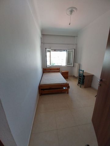 Διαμέρισμα για ενοικίαση Φαναρίου (Καρδίτσα) - Φωτογραφία 5
